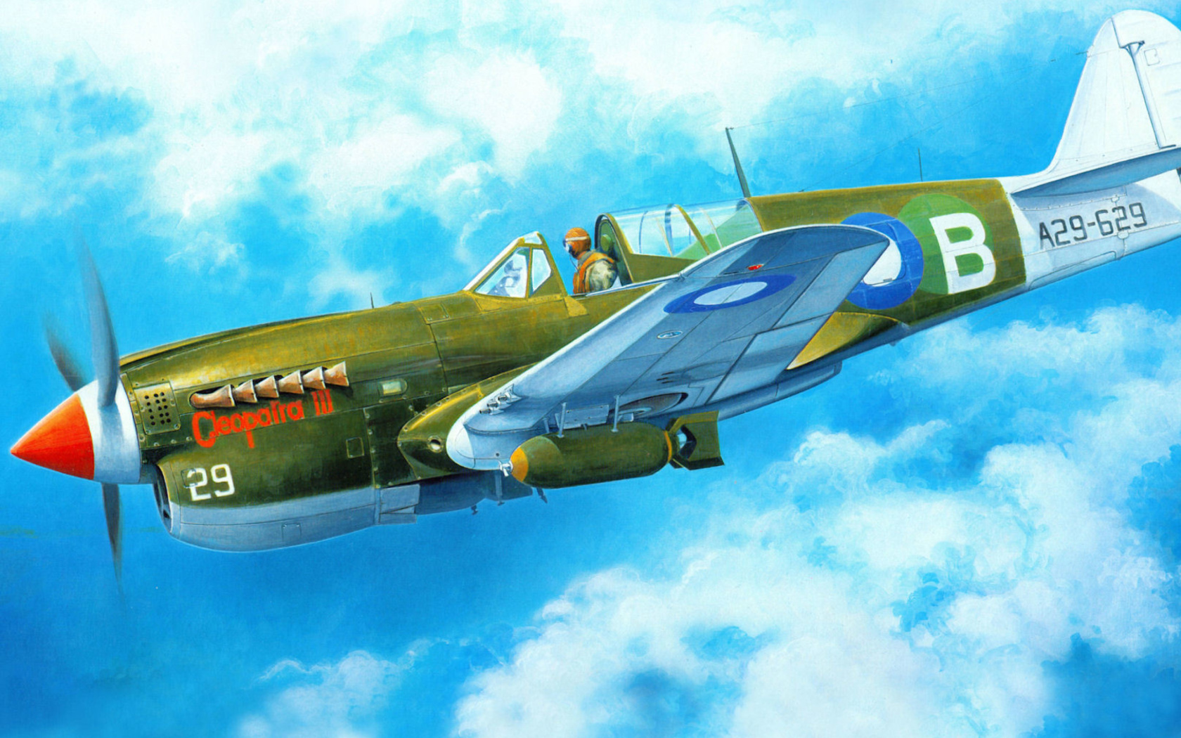 Screenshot №1 pro téma Curtiss P 40 Warhawk 1680x1050