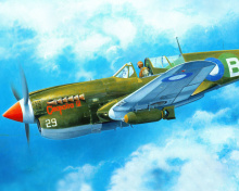 Das Curtiss P 40 Warhawk Wallpaper 220x176