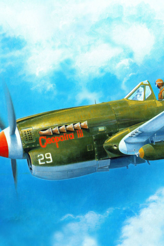 Fondo de pantalla Curtiss P 40 Warhawk 320x480