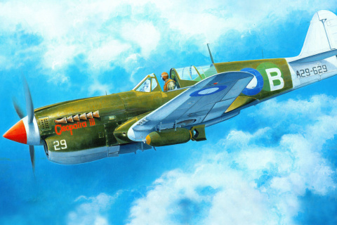 Fondo de pantalla Curtiss P 40 Warhawk 480x320