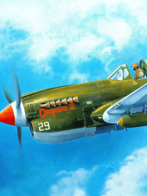 Curtiss P 40 Warhawk wallpaper 480x640