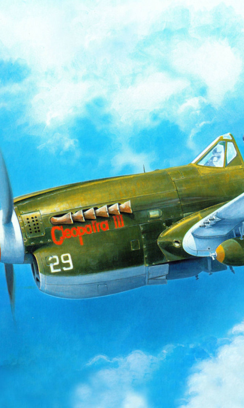 Fondo de pantalla Curtiss P 40 Warhawk 480x800