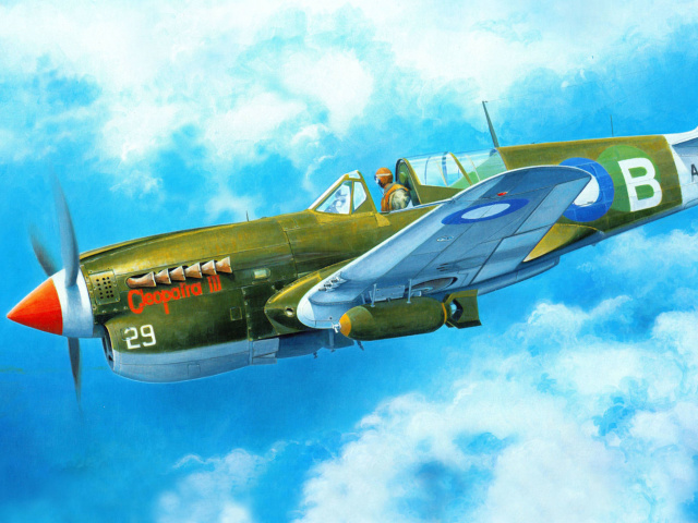 Das Curtiss P 40 Warhawk Wallpaper 640x480