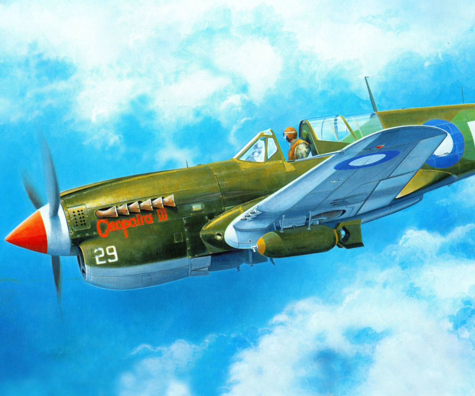 Das Curtiss P 40 Warhawk Wallpaper 960x800