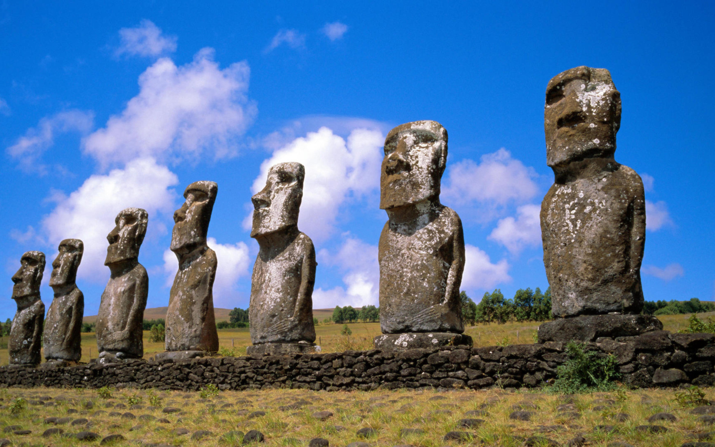 Das Easter Island Heads Wallpaper 1440x900