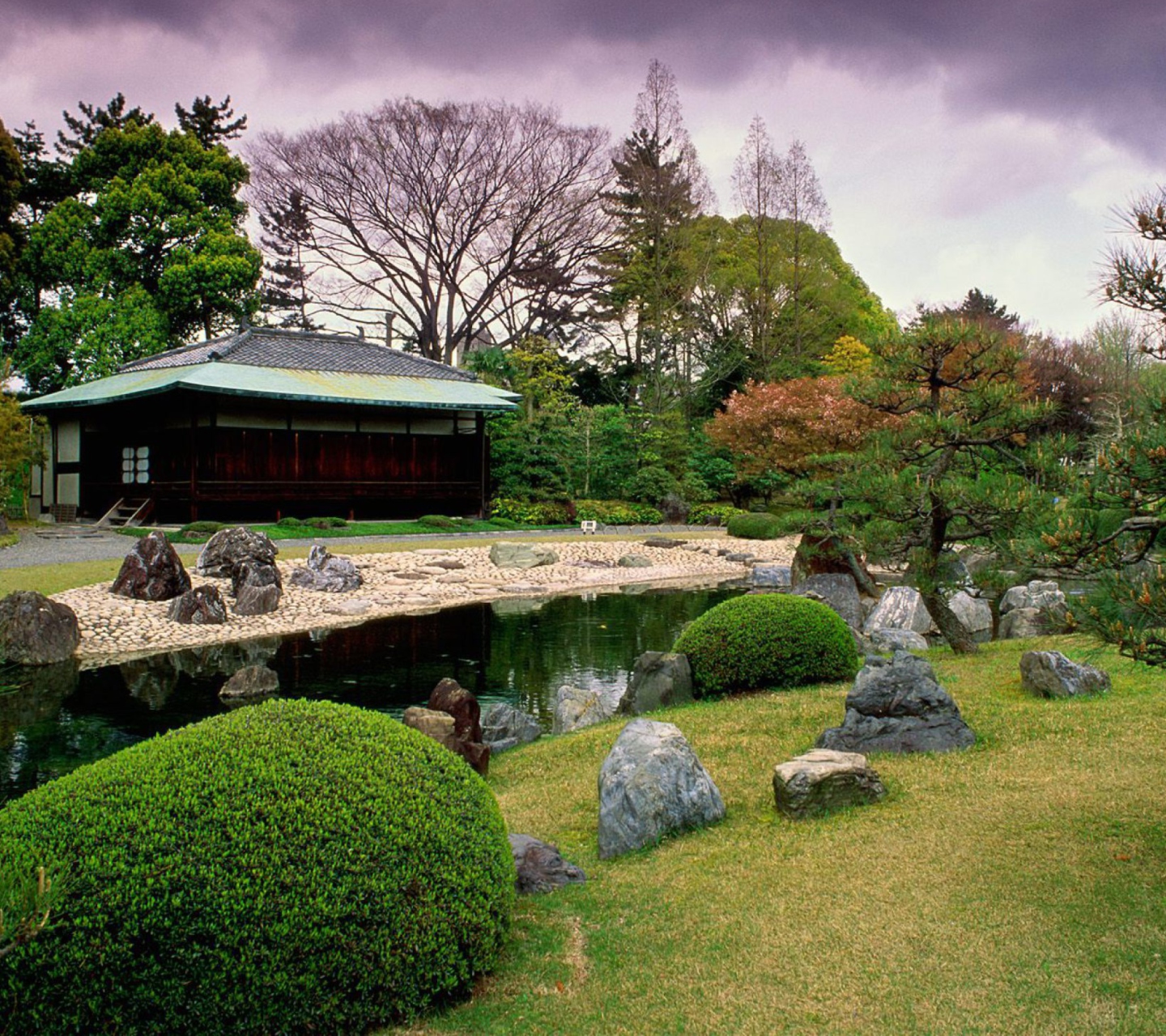 Samurai Japanese Cherry Blossom wallpaper 1440x1280