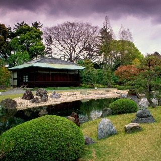 Samurai Japanese Cherry Blossom - Obrázkek zdarma pro iPad