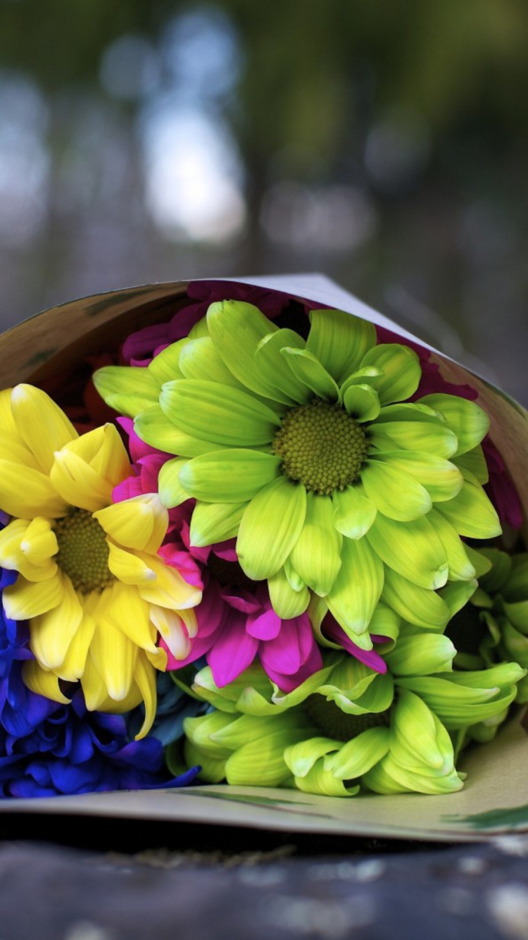 Colorful Daisies wallpaper 750x1334