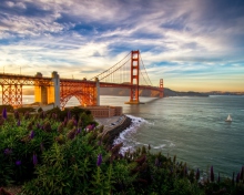 Обои Golden Gate Bridge 220x176