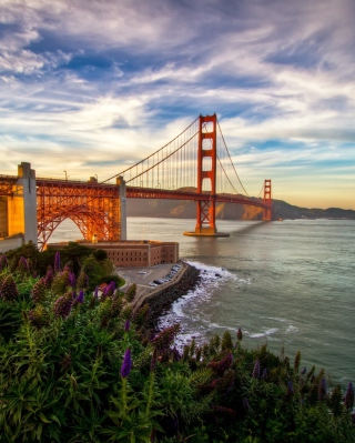 Golden Gate Bridge - Obrázkek zdarma pro 240x320
