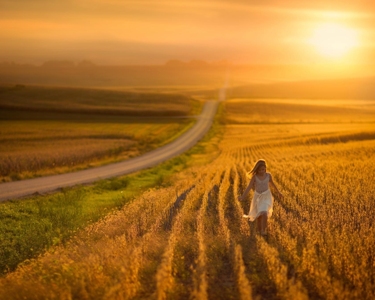 Sunset Field wallpaper 1280x1024