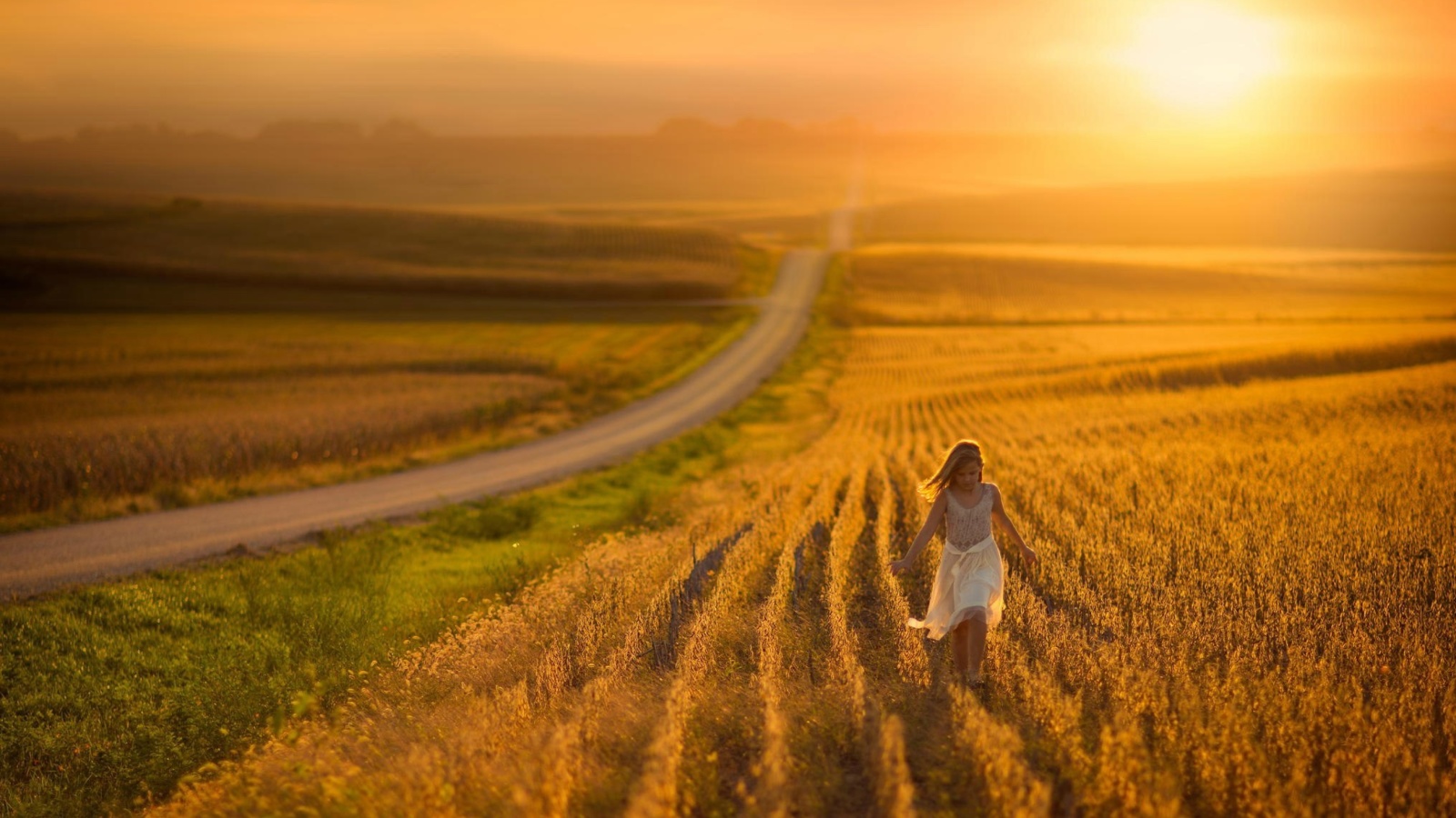 Sunset Field wallpaper 1600x900