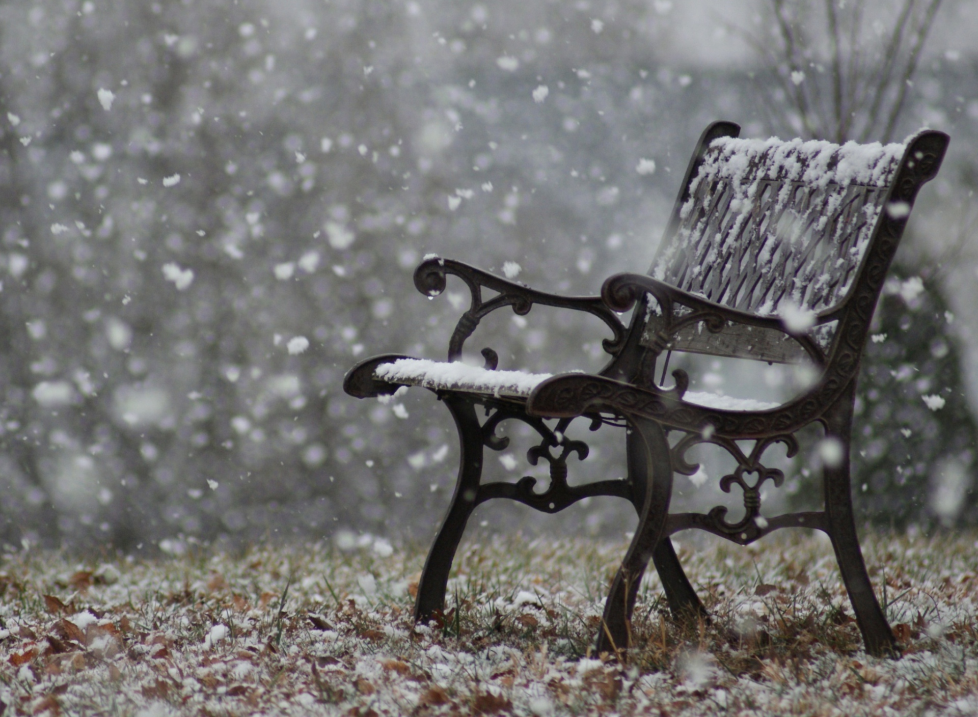 Fondo de pantalla Snowy Bench 1920x1408