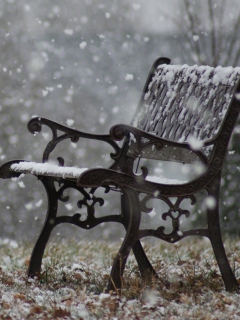 Das Snowy Bench Wallpaper 240x320