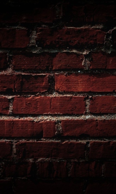 Red Brick Wall wallpaper 240x400