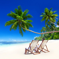 Fondo de pantalla Vacation in Tropical Paradise 208x208