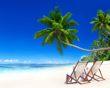Sfondi Vacation in Tropical Paradise 220x176