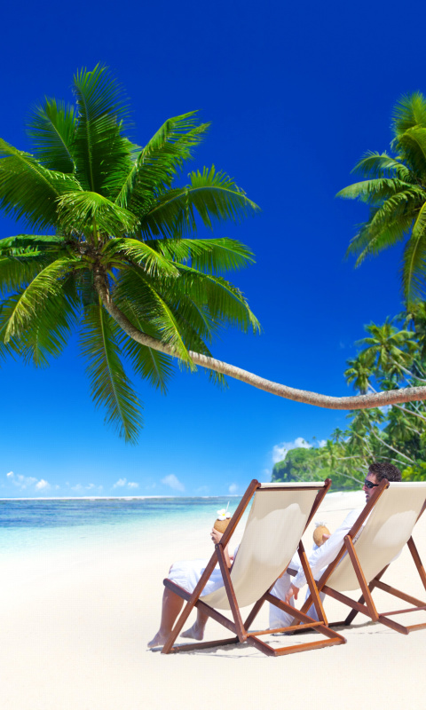 Das Vacation in Tropical Paradise Wallpaper 480x800