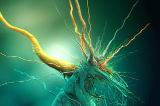 Bacteria Molecule - Obrázkek zdarma pro Samsung Galaxy S4