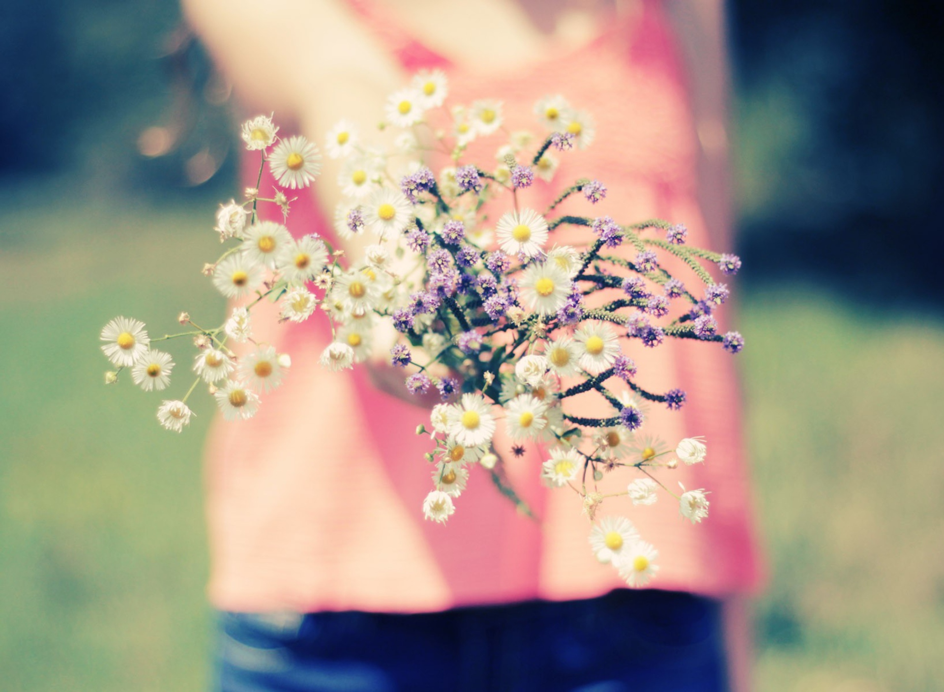 Field Flowers wallpaper 1920x1408