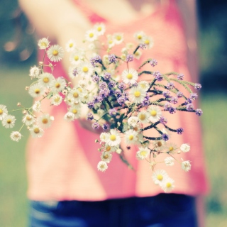 Free Field Flowers Picture for 208x208