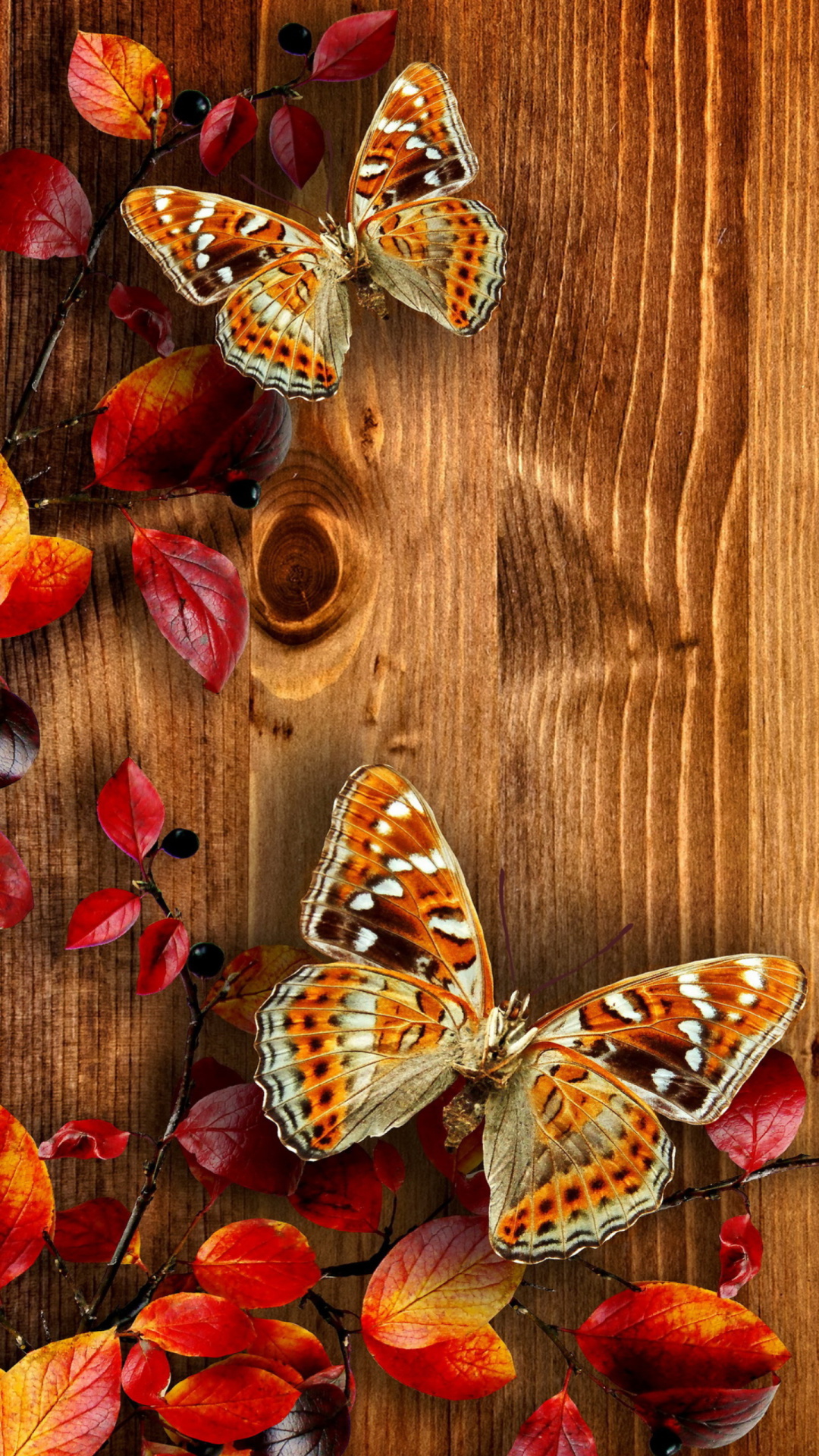 Das Autumn Background Wallpaper 1080x1920
