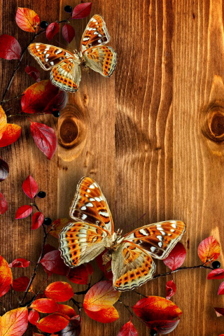 Das Autumn Background Wallpaper 320x480