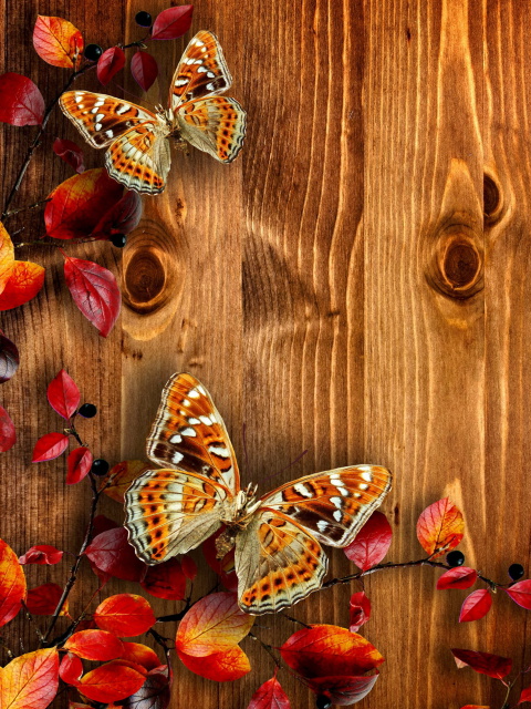 Das Autumn Background Wallpaper 480x640
