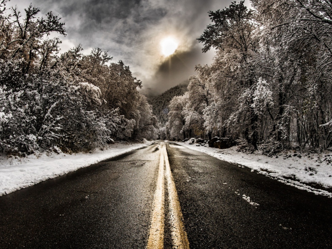 Screenshot №1 pro téma Pale Winter Road 1152x864