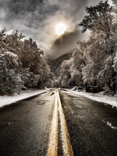 Das Pale Winter Road Wallpaper 240x320