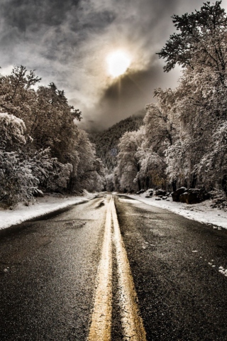 Pale Winter Road screenshot #1 320x480