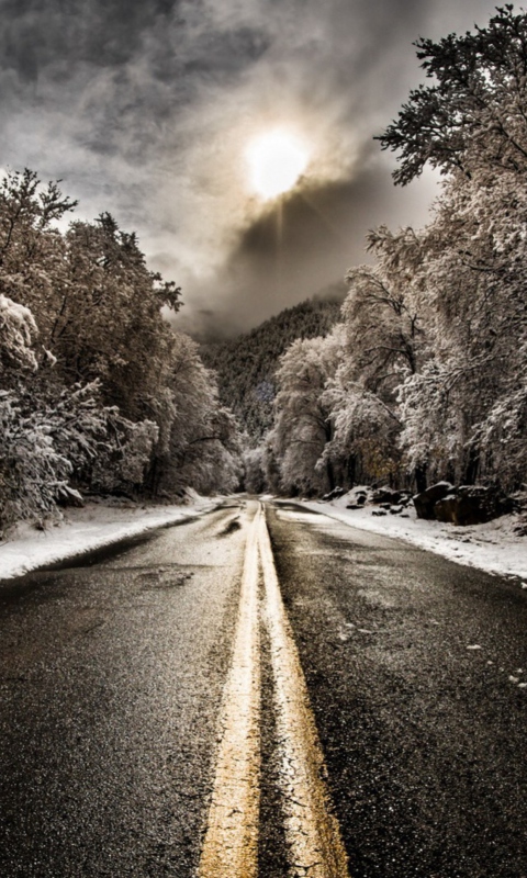 Pale Winter Road screenshot #1 480x800