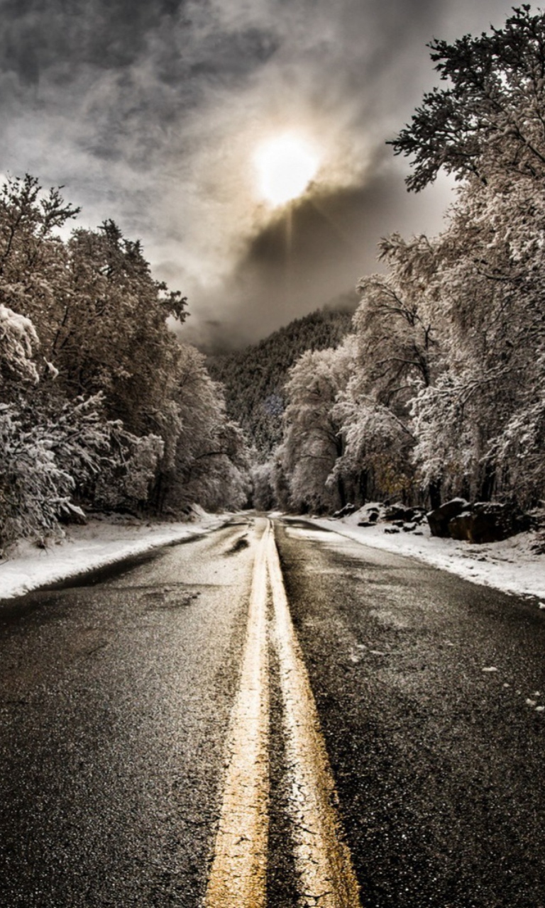 Pale Winter Road screenshot #1 768x1280