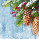 Indoor Christmas Decorations wallpaper 128x128