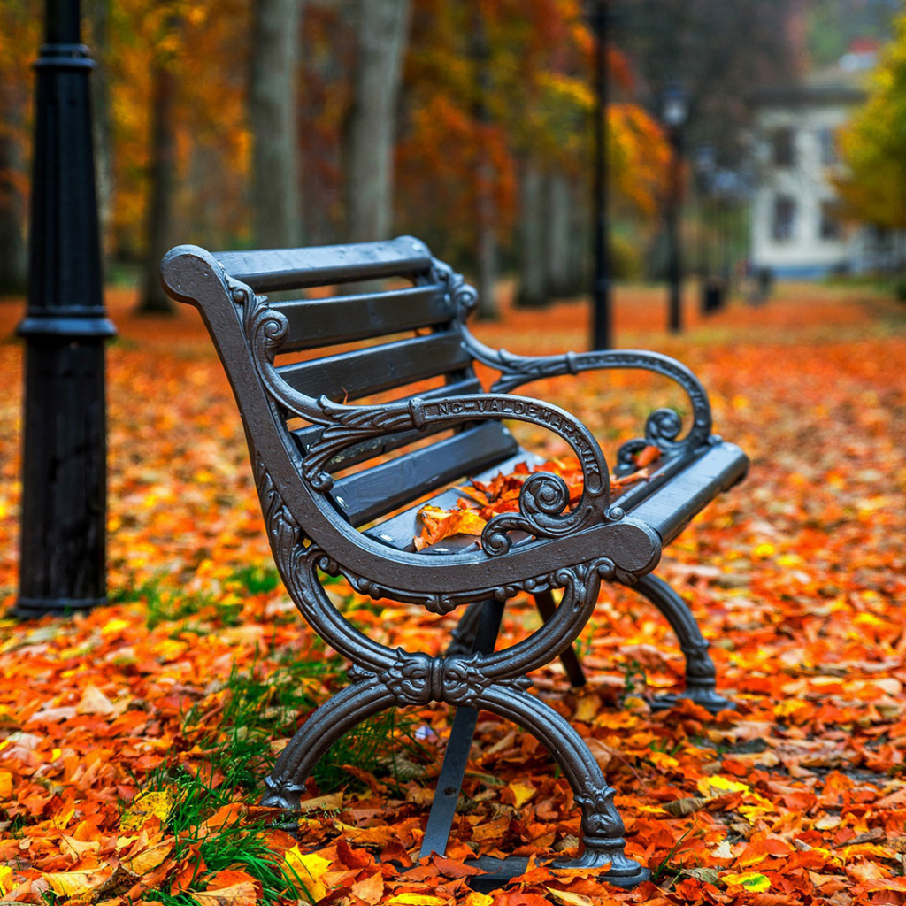 Autumn Park wallpaper 1024x1024