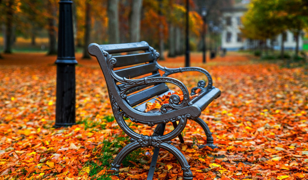 Sfondi Autumn Park 1024x600