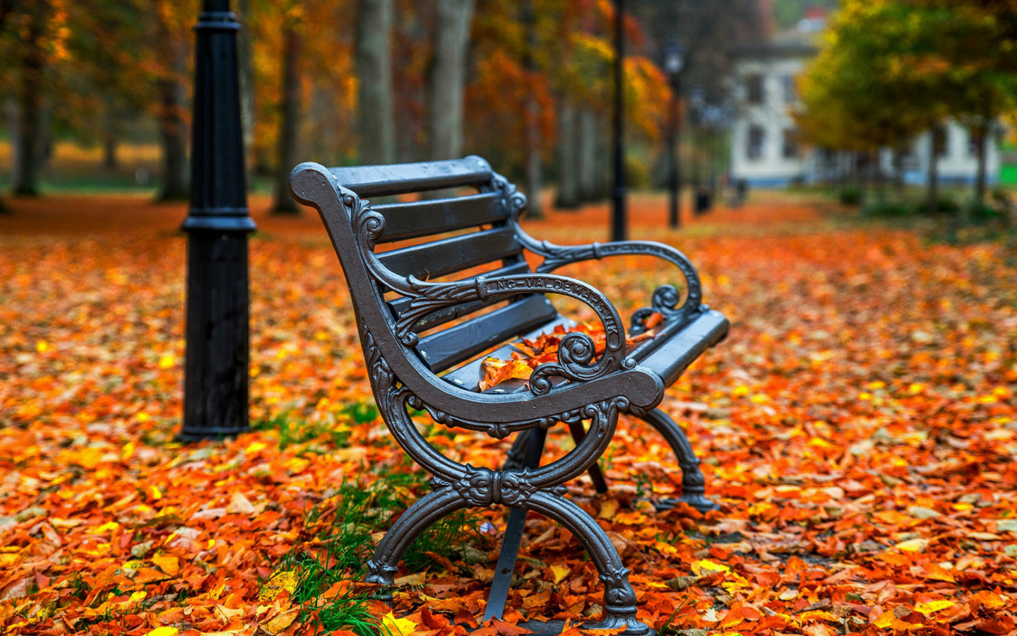 Sfondi Autumn Park 1440x900