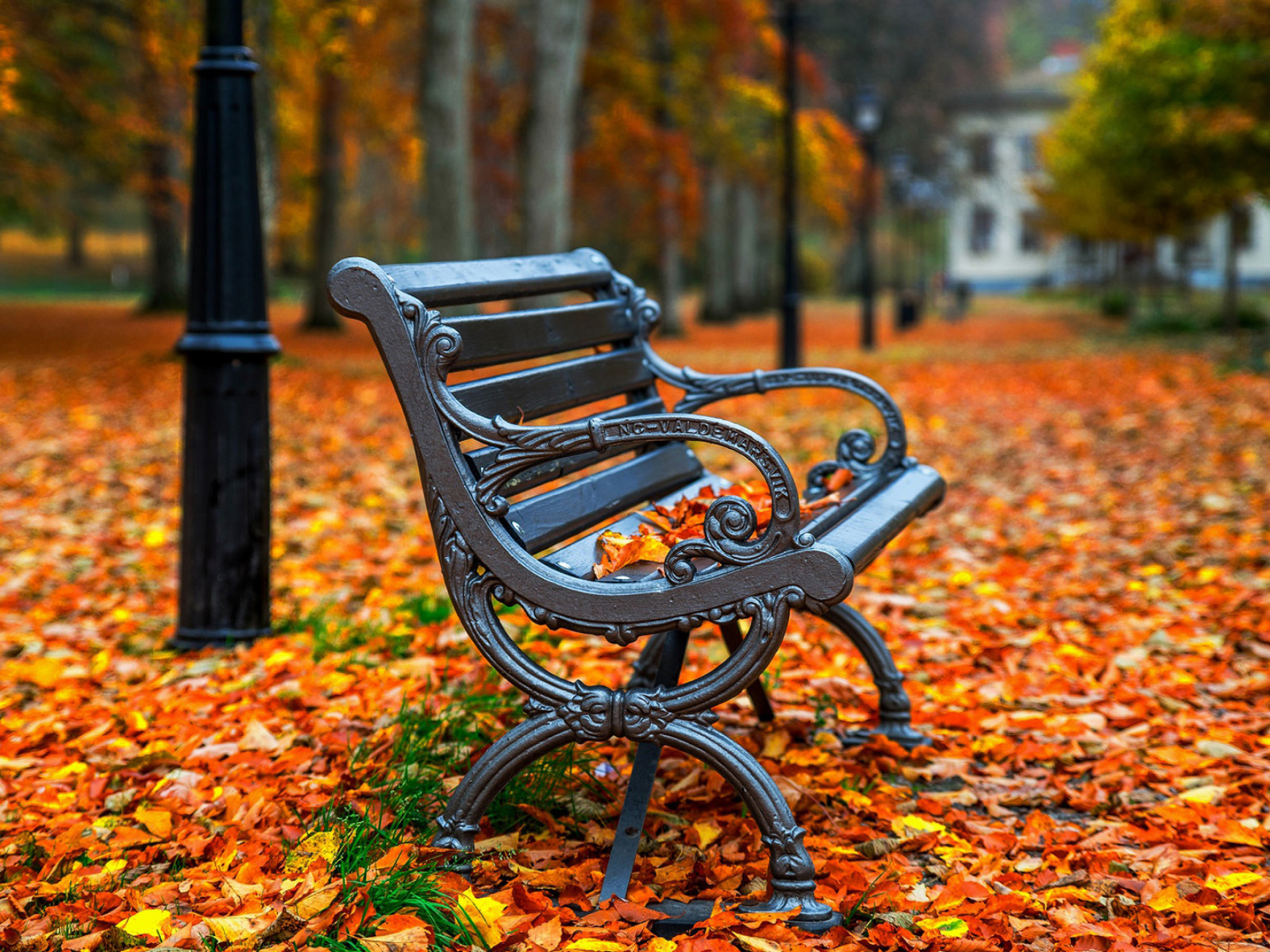 Autumn Park wallpaper 1600x1200