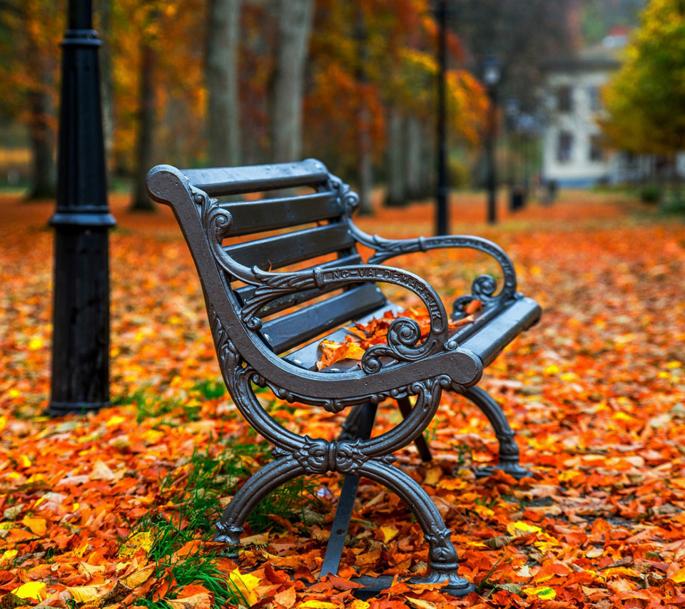 Autumn Park wallpaper 960x854