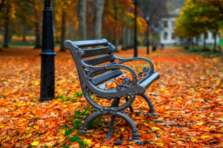 Autumn Park Wallpaper for Android, iPhone and iPad