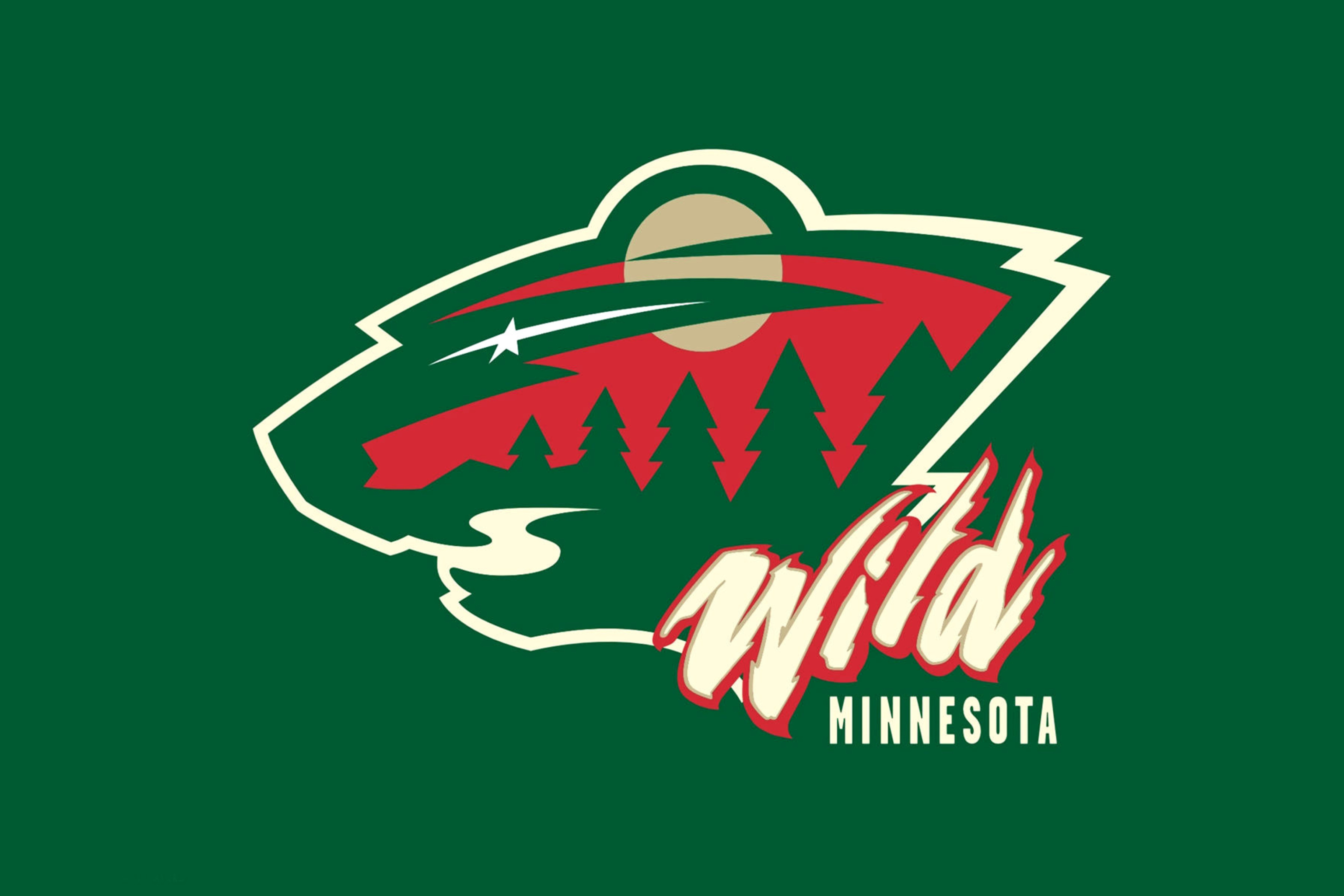 Fondo de pantalla Minnesota Wild 2880x1920