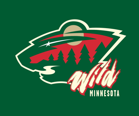 Minnesota Wild wallpaper 480x400