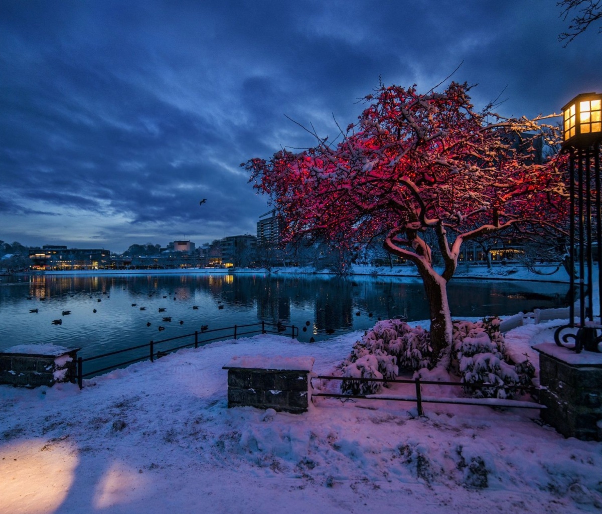 Sfondi Norwegian city in January 1200x1024