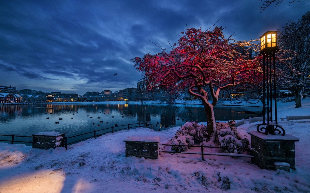 Norwegian city in January wallpaper 1280x800