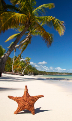 Tropics And Palms screenshot #1 240x400