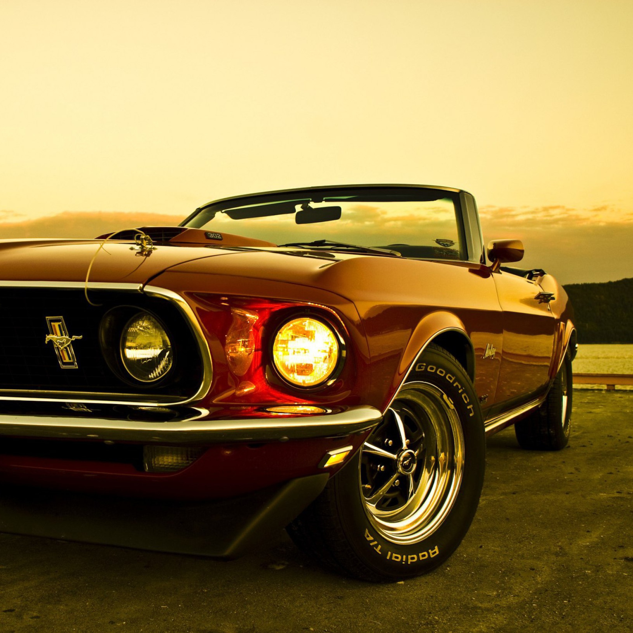 Screenshot №1 pro téma 1969 Ford Mustang 2048x2048