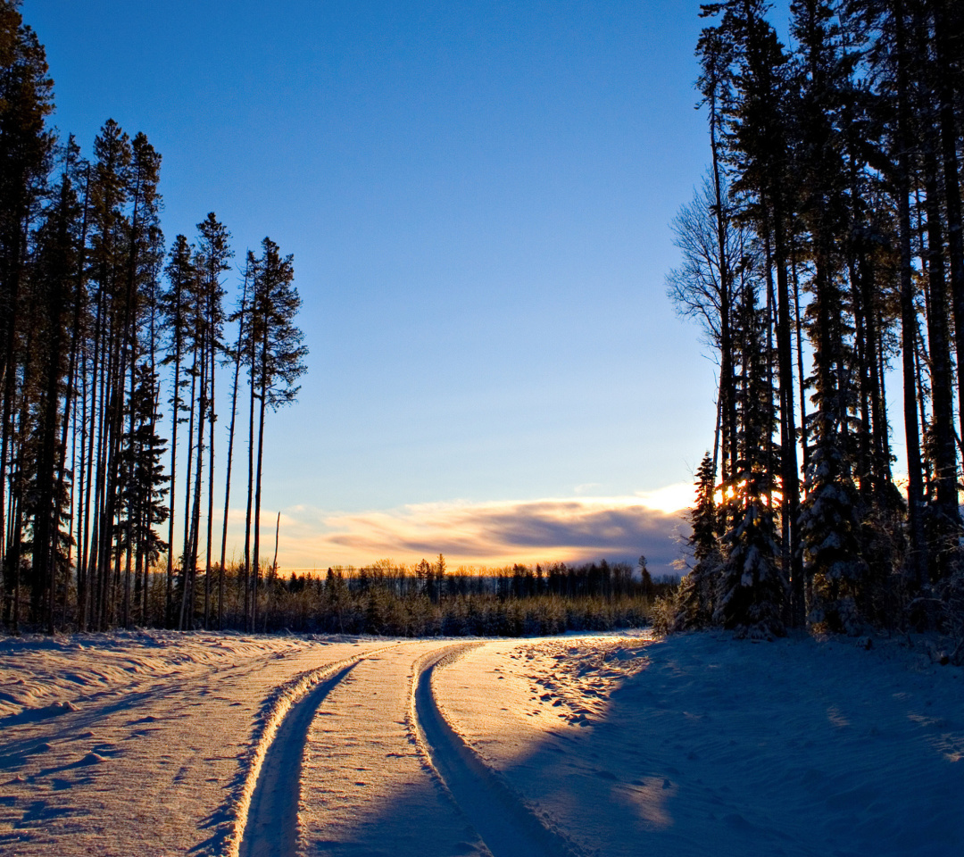 Обои January Forest in Snow 1080x960