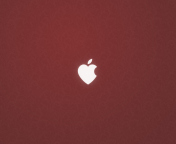 Apple Love screenshot #1 176x144
