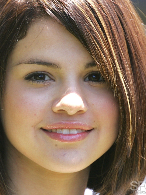 Beautiful Selena Gomez screenshot #1 480x640