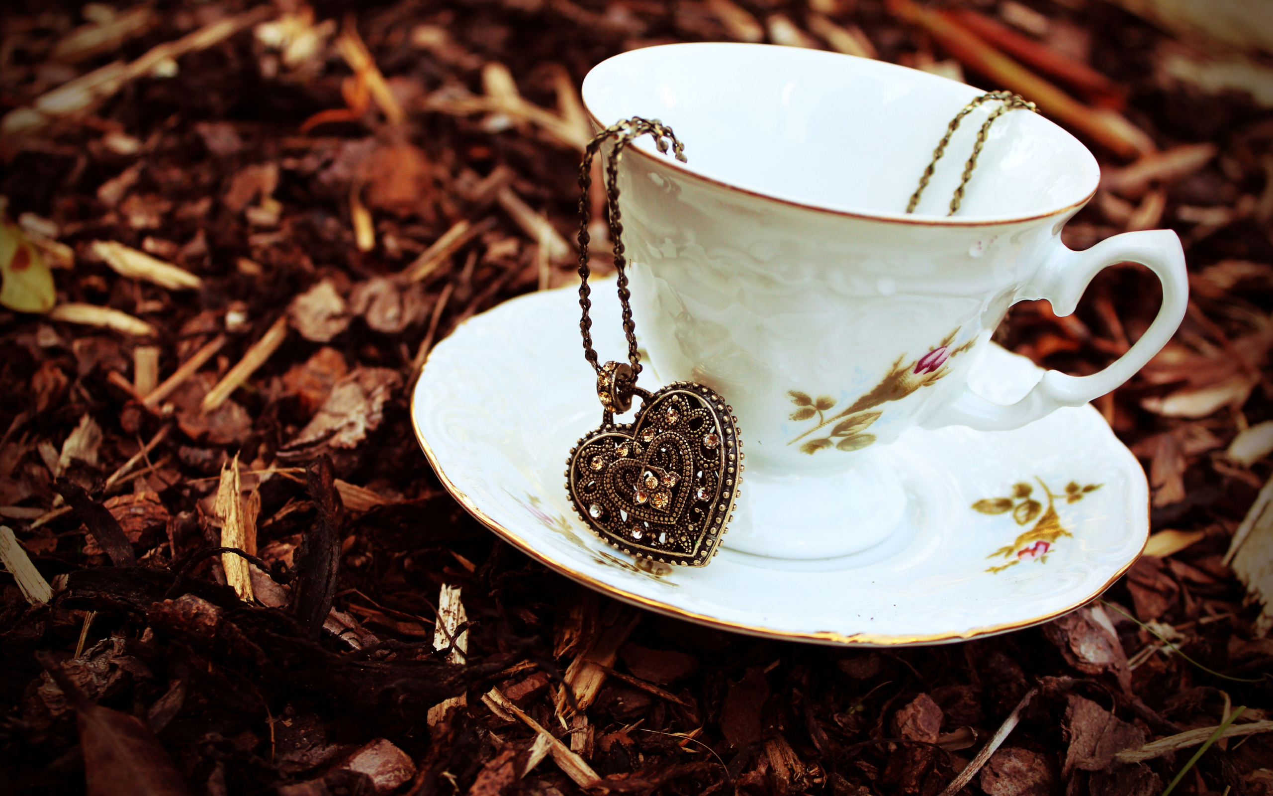 Sfondi Heart Pendant And Vintage Cup 2560x1600